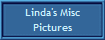 Linda's Misc
Pictures