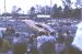 1973-02, 037, The Gator Nationals, Fla