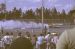 1973-02, 042, The Gator Nationals, Fla