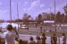 1973-02, 043, The Gator Nationals, Fla