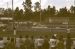 1973-02, 045, The Gator Nationals, Fla