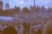 1973-02, 048, The Gator Nationals, Fla