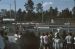 1973-02, 052, The Gator Nationals, Fla