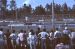 1973-02, 053, The Gator Nationals, Fla