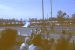 1973-02, 055, The Gator Nationals, Fla