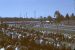 1973-02, 105, The Gator Nationals, Fla