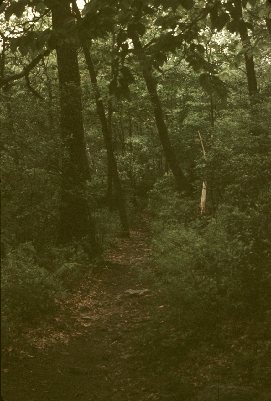 1976-07-16, 001, Appalachian Trail, NJ-NY
