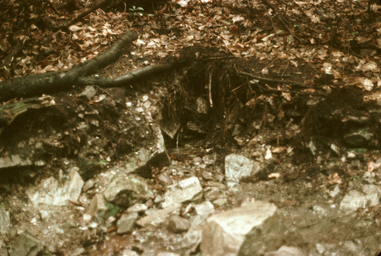 1976-07-16, 013, Appalachian Trail, NJ-NY