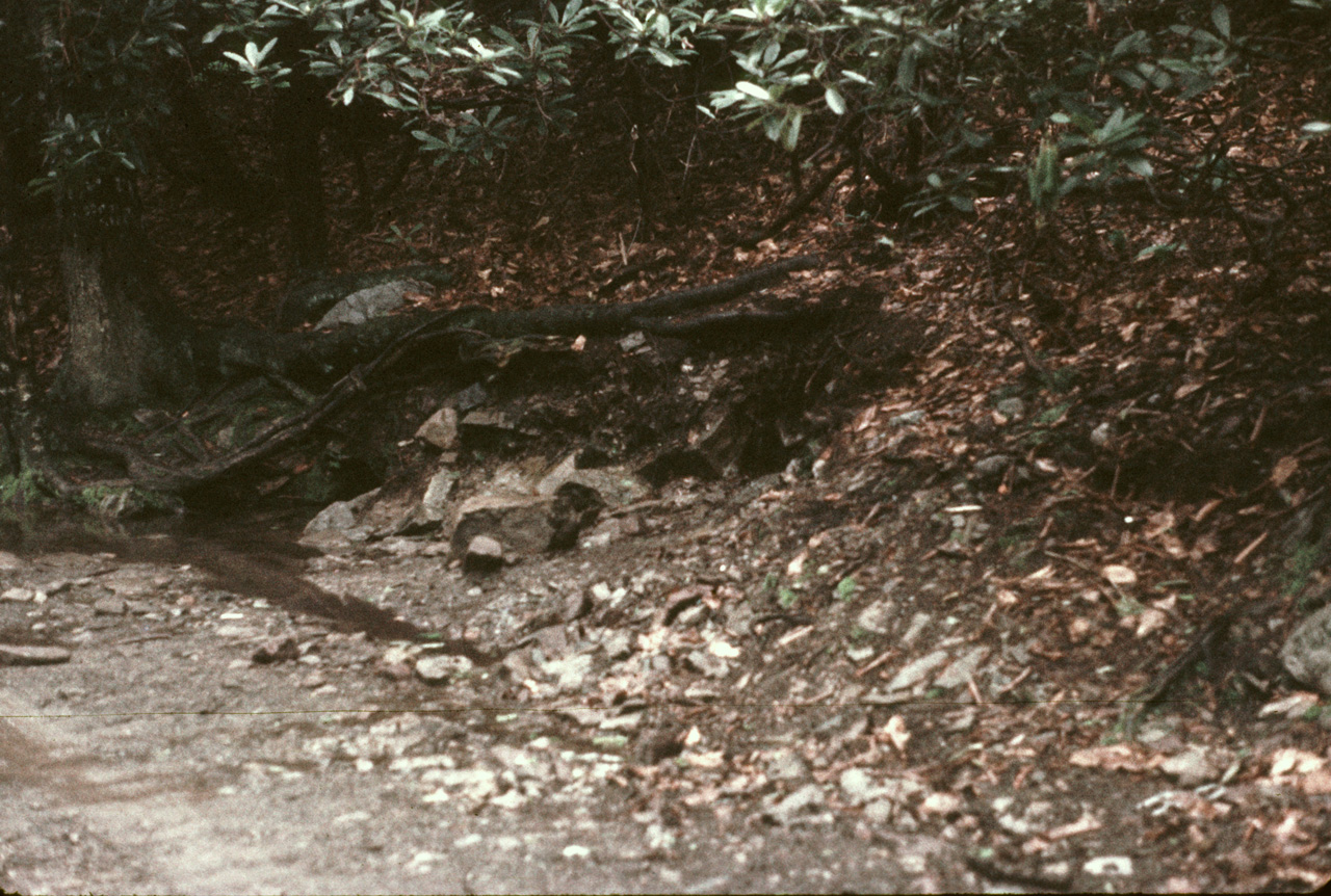 1976-07-16, 015, Appalachian Trail, NJ-NY