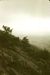 1976-07-16, 011, Appalachian Trail, NJ-NY
