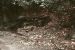 1976-07-16, 015, Appalachian Trail, NJ-NY