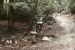 1976-07-16, 016, Appalachian Trail, NJ-NY