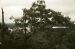 1976-07-16, 022, Appalachian Trail, NJ-NY