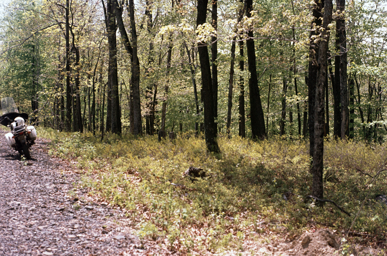 1980-05-01, 004, Land, Dingmans Ferry, PA