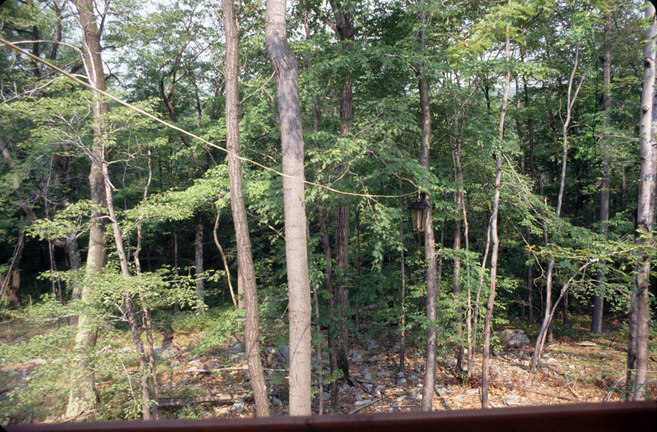 1981-07-01, 045, House, Dingmans Ferry, PA