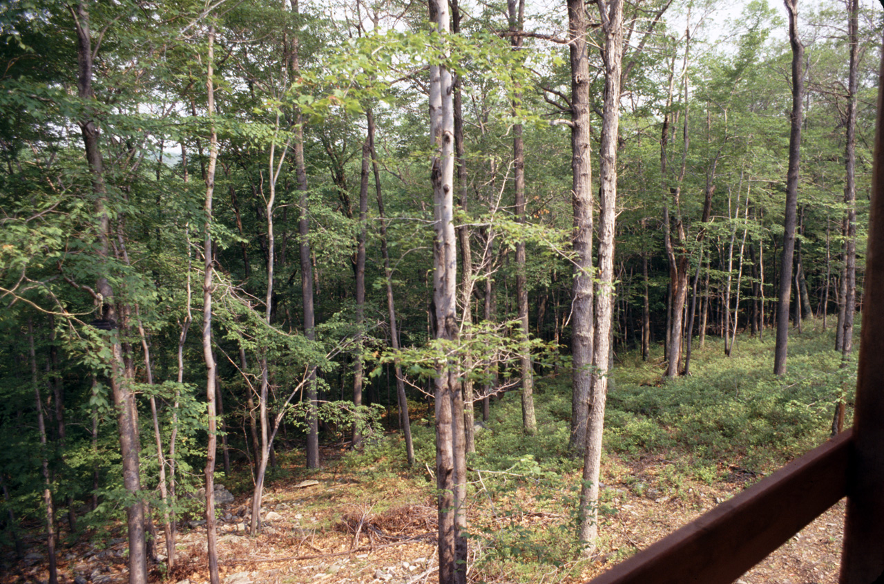 1981-07-01, 046, House, Dingmans Ferry, PA