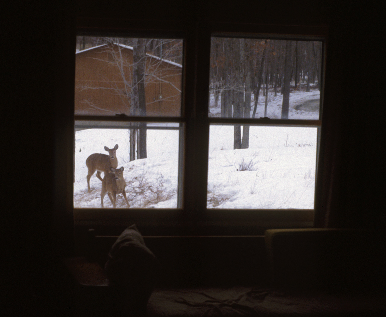 1981-07-01, 053, House, Dingmans Ferry, PA