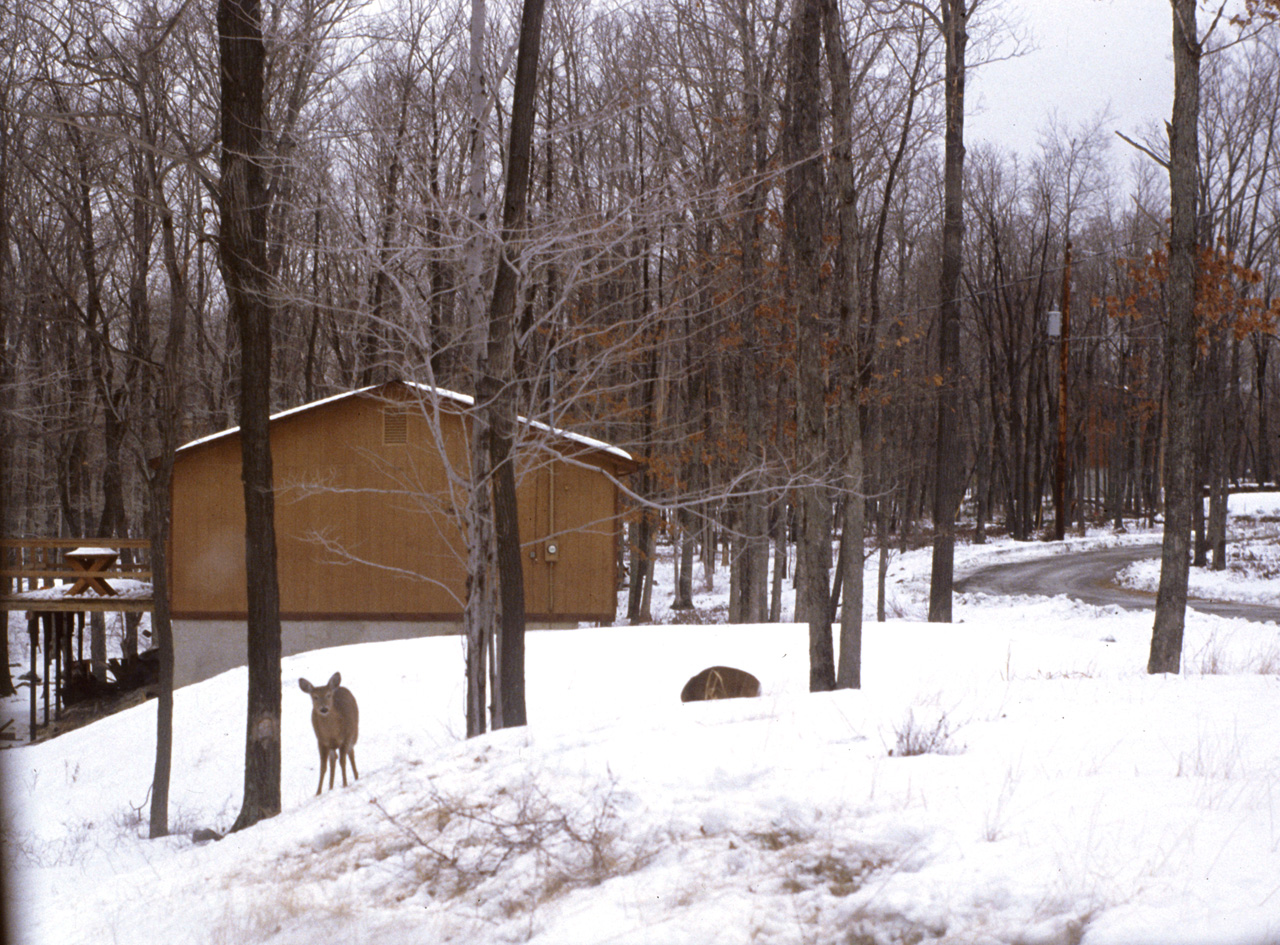 1981-12-01, 062, House, Dingmans Ferry, PA