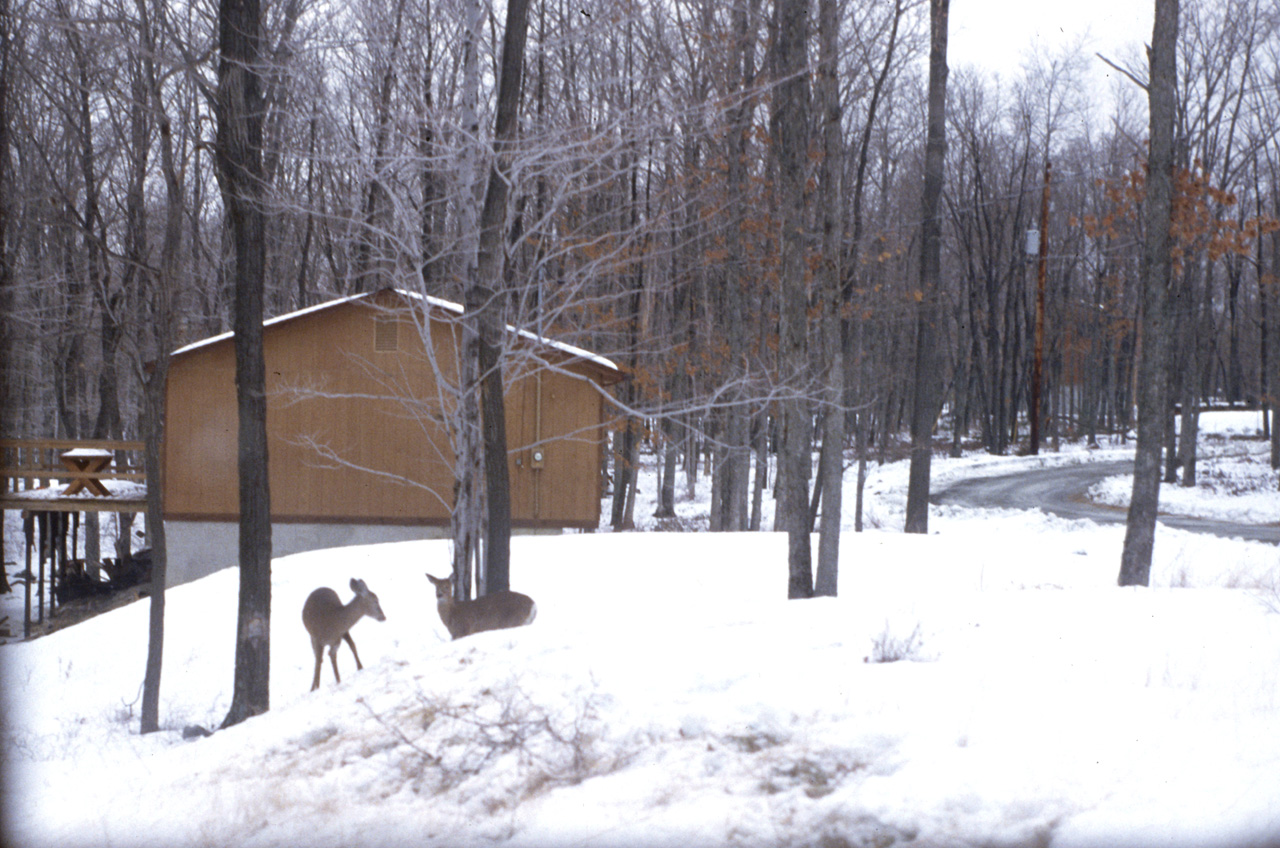 1981-12-01, 063, House, Dingmans Ferry, PA