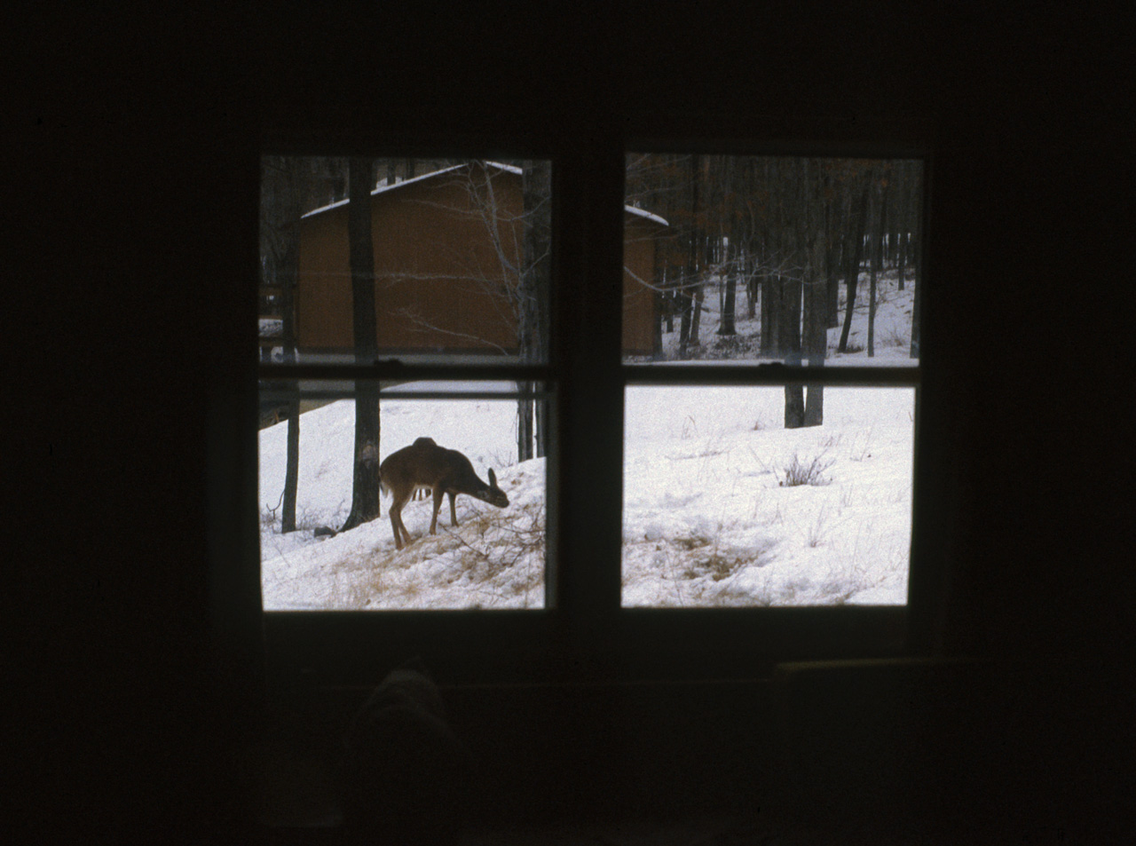 1981-12-01, 064, House, Dingmans Ferry, PA