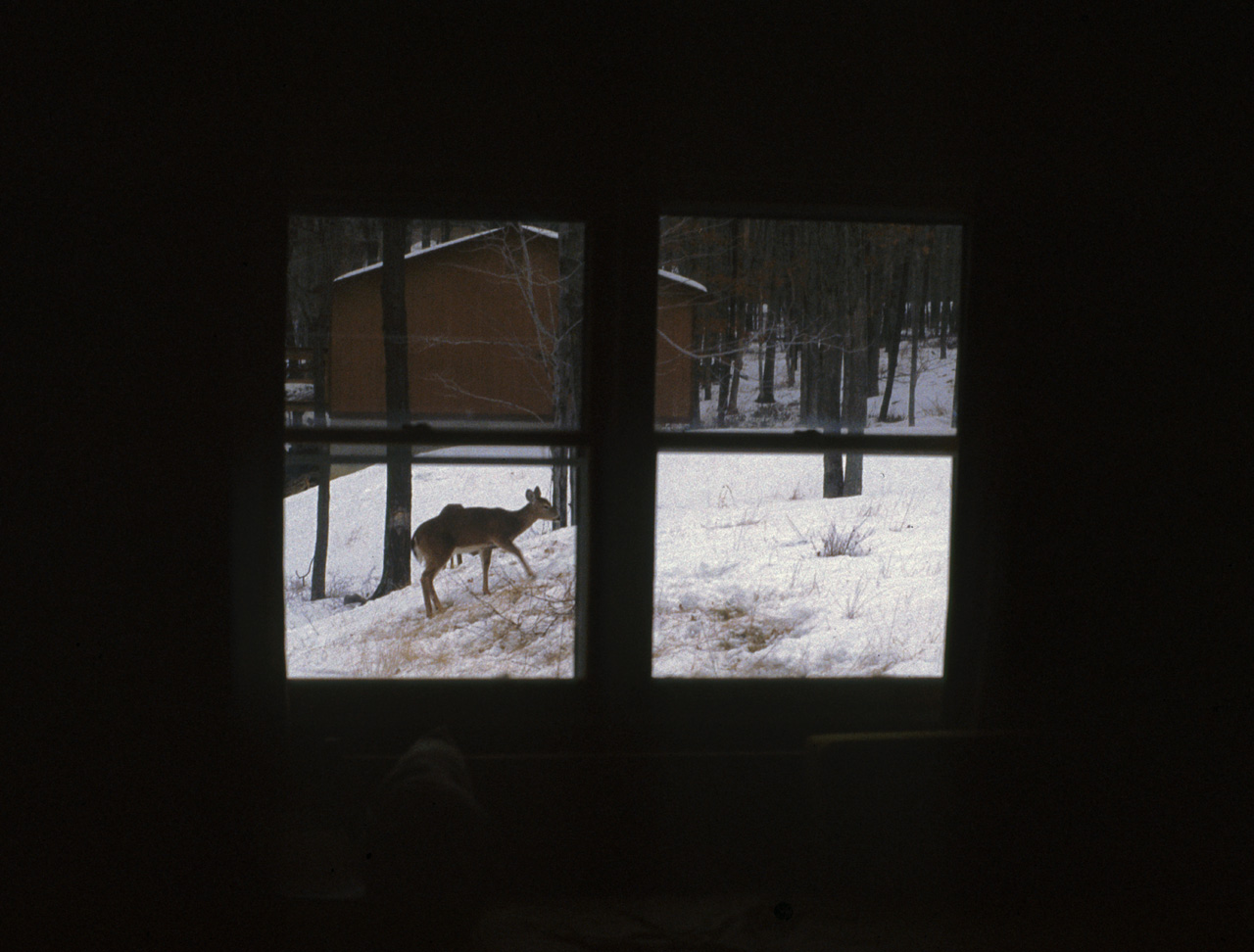 1981-12-01, 065, House, Dingmans Ferry, PA