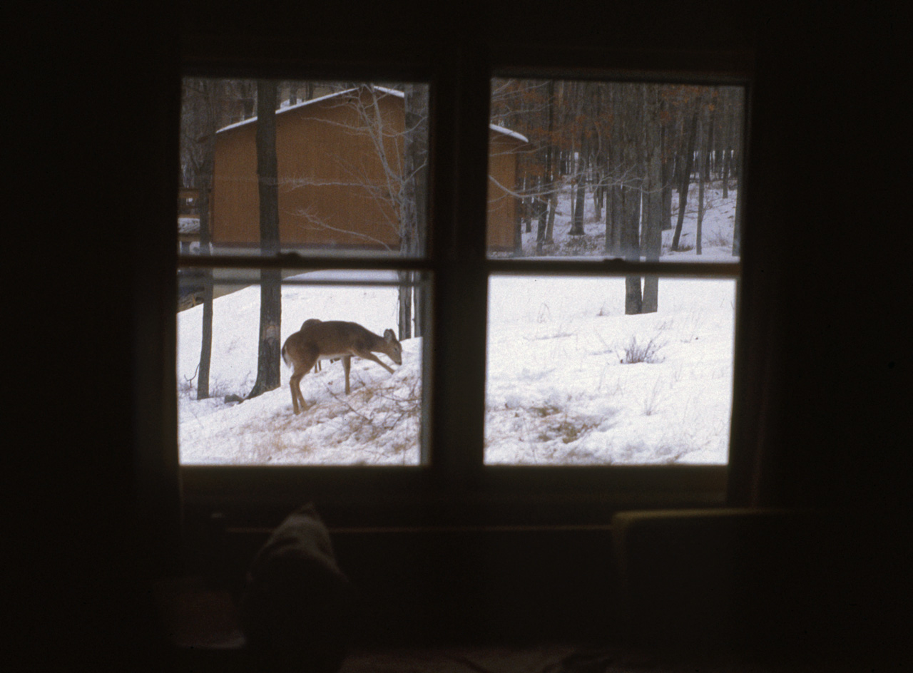 1981-12-01, 066, House, Dingmans Ferry, PA