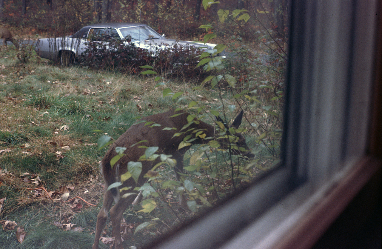 1986-10-01, 097, House, Dingmans Ferry, PA