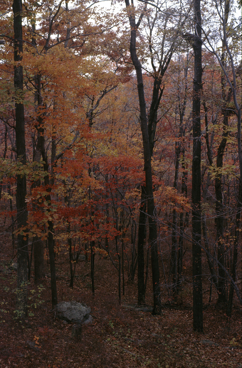 1986-10-01, 098, House, Dingmans Ferry, PA