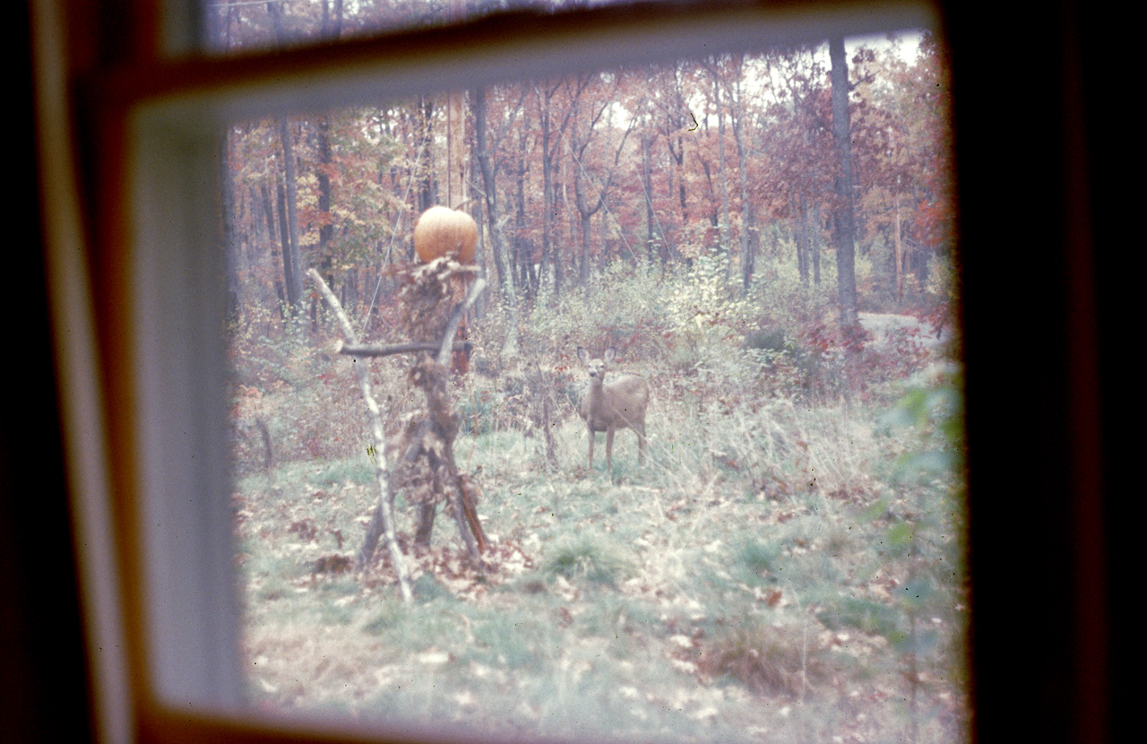 1986-10-01, 099, House, Dingmans Ferry, PA
