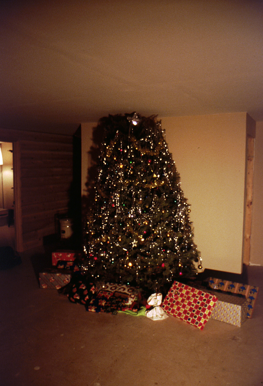 1988-12-25, 156, Christmas in Dingmans Ferry, PA
