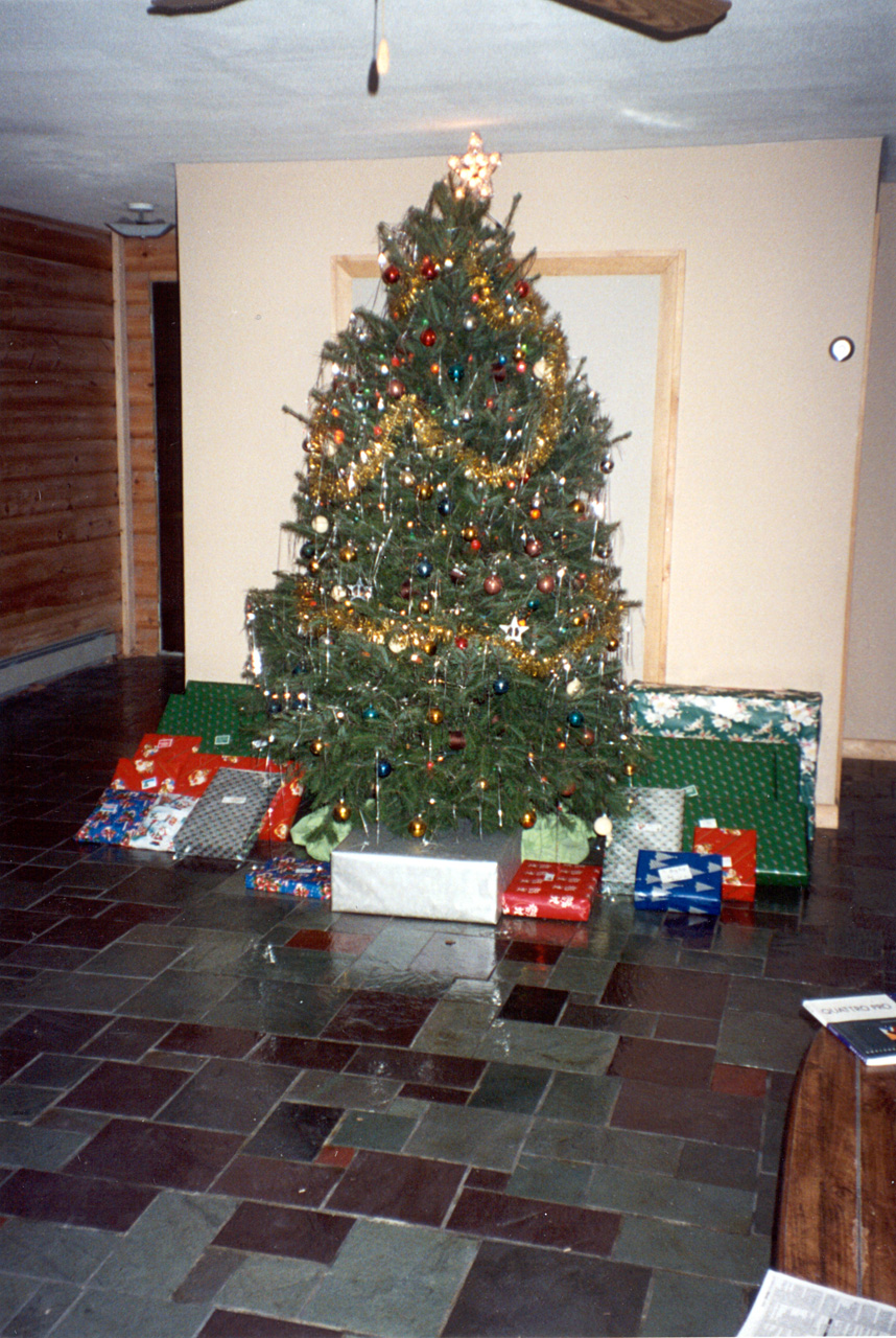 1990-12-25, 165, Christmas Tree, Dingmans Ferry, PA