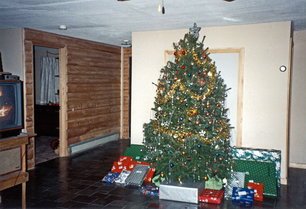 1990-12-25, 166, Christmas Tree, Dingmans Ferry, PA