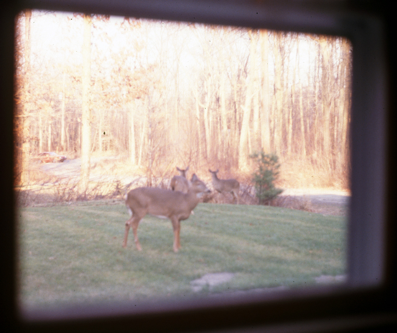 1991-06-01, 167, House, Dingmans Ferry, PA