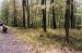 1980-05-01, 004, Land, Dingmans Ferry, PA