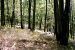 1980-05-01, 006, Land, Dingmans Ferry, PA