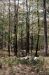 1980-05-01, 013, Land, Dingmans Ferry, PA