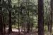 1980-05-01, 017, Land, Dingmans Ferry, PA