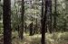 1980-05-01, 018, Land, Dingmans Ferry, PA