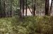1980-05-01, 020, Land, Dingmans Ferry, PA