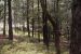 1980-05-01, 021, Land, Dingmans Ferry, PA