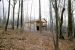 1981-03-01, 037, House, Dingmans Ferry, PA