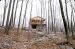 1981-03-01, 038, House, Dingmans Ferry, PA