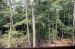 1981-07-01, 045, House, Dingmans Ferry, PA