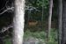 1981-07-01, 047, House, Dingmans Ferry, PA