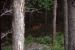 1981-07-01, 049, House, Dingmans Ferry, PA