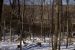 1981-12-01, 058, House, Dingmans Ferry, PA