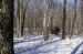 1981-12-01, 059, House, Dingmans Ferry, PA
