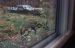 1986-10-01, 097, House, Dingmans Ferry, PA