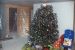 1987-12-25, 140, Tree, Christmas, Dingmans Ferry, PA