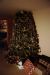 1988-12-25, 157, Christmas in Dingmans Ferry, PA